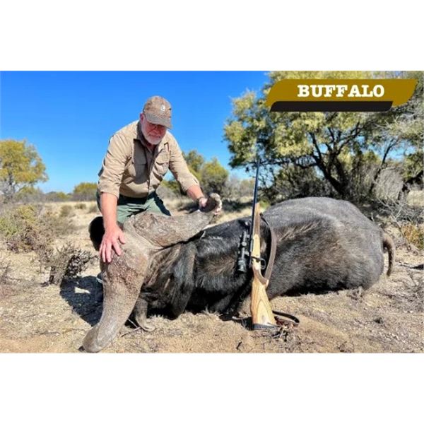 Zimbabwe Cape Buffalo Safari in the Matetsi Safari Area for 1 Hunter