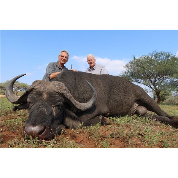 Tanzania Cape Buffalo Safari Lukwika-Lumesule Reserve for 1 Hunter