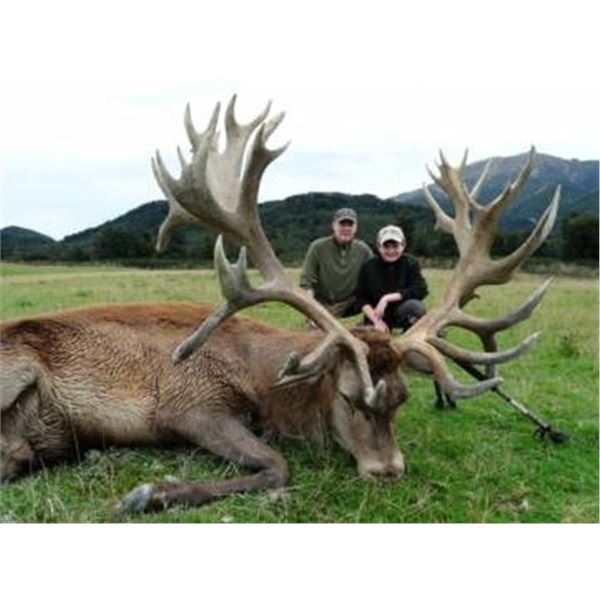 New Zealand Red Stag & Chamois for 2 Hunters w/ Four Seasons