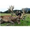 Image 1 : New Zealand Red Stag & Chamois for 2 Hunters w/ Four Seasons