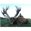 Image 2 : New Zealand Red Stag & Chamois for 2 Hunters w/ Four Seasons