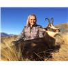 Image 4 : New Zealand Red Stag & Chamois for 2 Hunters w/ Four Seasons