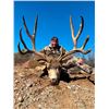 Image 2 : Mule Deer Hunt for 1 Hunter in Sonora, Mexico for 7 Days