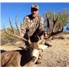 Image 4 : Mule Deer Hunt for 1 Hunter in Sonora, Mexico for 7 Days