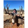 Image 7 : Mule Deer Hunt for 1 Hunter in Sonora, Mexico for 7 Days