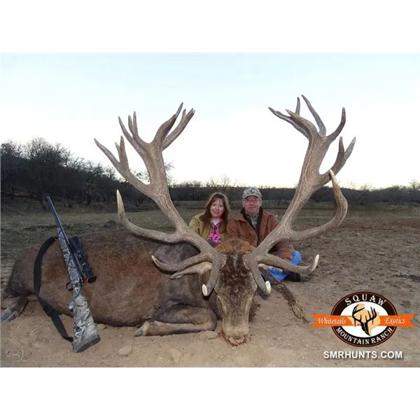 Priceless Opportunity for 2 Hunters to hunt with 2 Special Operations Veterans Squaw Mountain Ranch