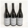 Image 1 : LOT OF 3 BOTTLES OF 2020 KIONA SYRAH 14%