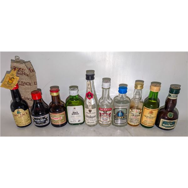 10 ASSORTED MINI LIQUOR BOTTLES
