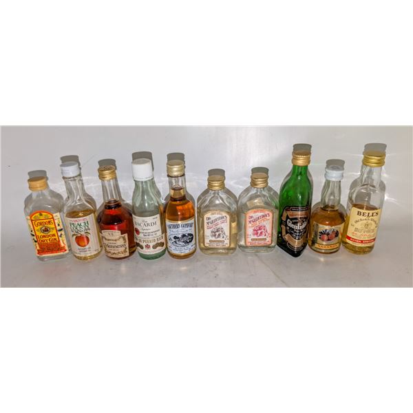 10 ASSORTED MINI LIQUOR BOTTLES