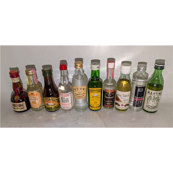 10 ASSORTED MINI LIQUOR BOTTLES