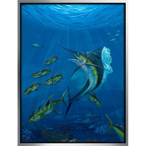 Marlin And Sushi By Tom Gion