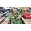 Image 2 : 4 ASSORTED FAUX POTTED PLANTS *PLASTIC PALLET CRATE NOT INCLUDED*