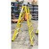 Image 2 : WERNER 6' YELLOW INDUSTRIAL STEP LADDER