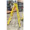 Image 2 : WERNER 6' YELLOW INDUSTRIAL STEP LADDER