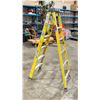 Image 2 : WERNER 6' YELLOW INDUSTRIAL STEP LADDER