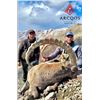 Image 1 : Mid-Asian Ibex Hunt, Kyrgyzstan