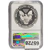 Image 3 : [2 Coins]2013-W Silver Eagle NGC SP69/PF69 First Releases
