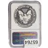 Image 3 : [2 Coins]2013-W Silver Eagle NGC PF 69/SP69 First Releases