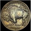 Image 2 : 1913-D Type 1 Buffalo Nickel UNCIRCULATED