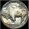 Image 2 : 1913-D Type 1 Buffalo Nickel CLOSELY UNCIRCULATED