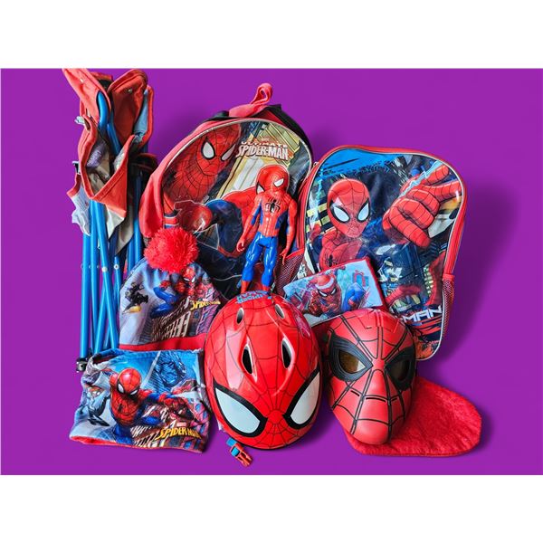 Spiderman Kids Fan Kit
