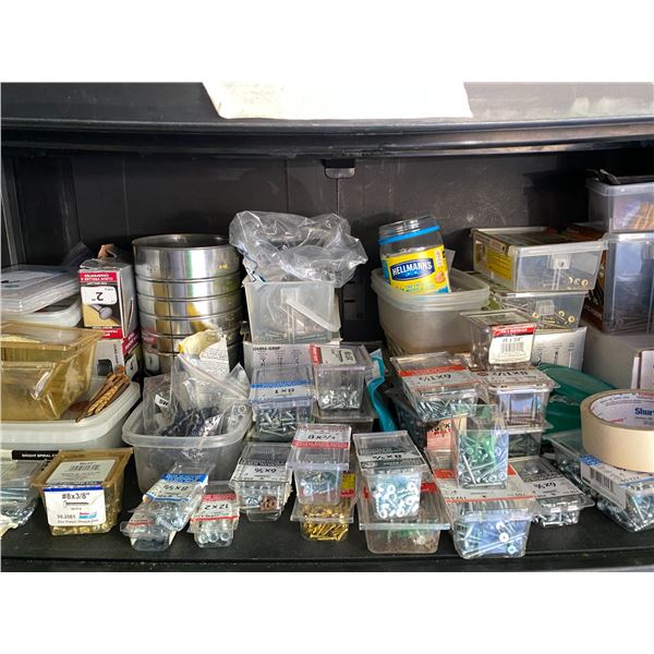 Screws, Bungee Cords A