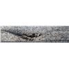 Image 1 : ONSITE: WHITE GRANITE SLAB W/ BLACK SPECKLES