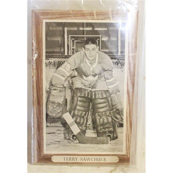 TERRY SAWCHUK PICTURE