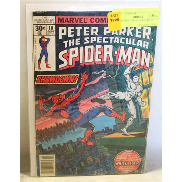 SPECTACULAR SPIDER-MAN 10