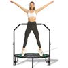 Image 1 : NEW GARCHEN FITNESS TRAMPOLINE WITH HANDLE BAR
