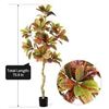 Image 1 : BRAND NEW COFERSET ARTIFICIAL CROTON TREE 5FT