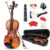 Image 1 : NEW VANGOA 4/4 VIOLIN FULL SET
