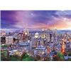 Image 1 : NEW EUROGRAPHICS THE WORLD OF ART MONTREAL POSTER