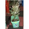 Image 1 : 2 FOOT TALL PINE TREE