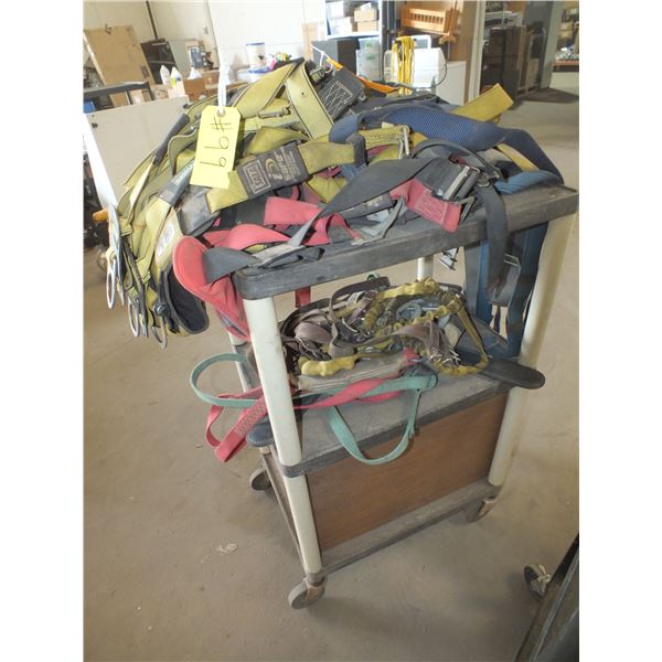 8 fall Arrest Harnesses & 8 Lanyards