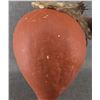 Image 10 : HOPI GOURD RATTLE