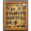 Image 1 : ARROWHEAD COLLECTION (OCYTUS JOHNSON  COLLECTION)