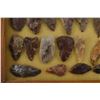 Image 6 : ARROWHEAD COLLECTION (OCYTUS JOHNSON  COLLECTION)