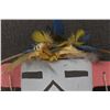 Image 14 : HOPI  KACHINA (CHESTER POLEYESTEWA)