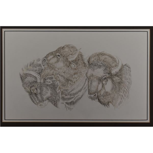 CHEYENNE/ARAPAHO PEN AND INK (HARVEY PRATT)