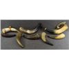 Image 1 : SEVEN WESTERN POWDER HORNS, ONE HORN RATTLE