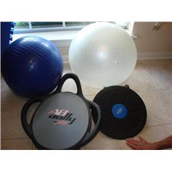 Exercise Items(Ab dolly,balls & wobbler)