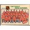 Image 1 : 1975-76 NHL O-PEE-CHEE DETROIT RED WINGS