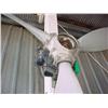 Image 2 : Albatross prop