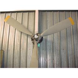 Albatross prop