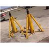 Image 1 : 2 matched yellow jacks