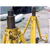Image 2 : 2 matched yellow jacks