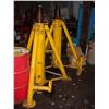 Image 3 : 2 matched yellow jacks