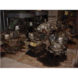 13 pineapples and rear cores