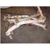 Image 1 : Albatross landing gear